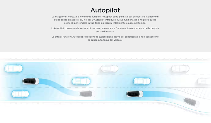 tesla guida autonoma